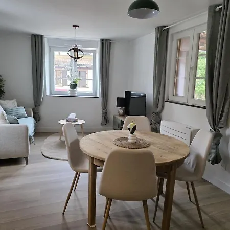 Appartement Le Ptit Max - Proche Strasbourg - Wi-fi Goxwiller